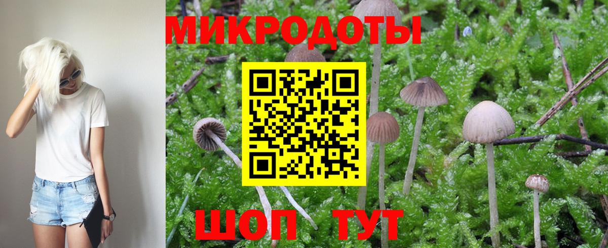 Чита  Галлюциногенные грибы Psilocybine cubensis  Вход с VPN 